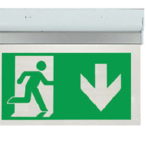 ESP EMERGENCY EXIT SIGN DOWN 2W