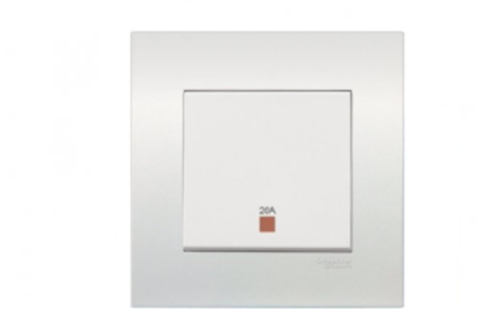 Schneider 20A Double-pole switch with Neon