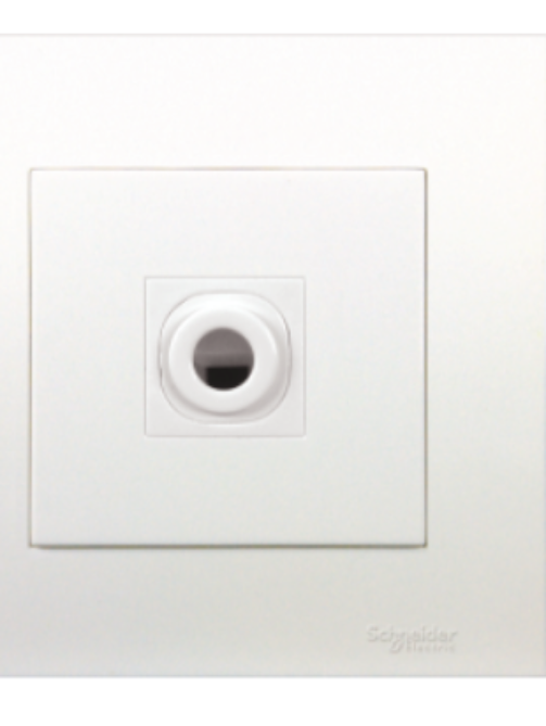 Schneider 25A 250V Connection Unit